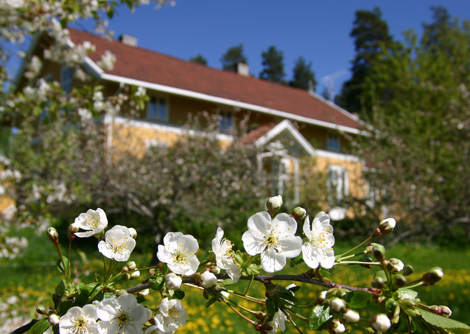 Forskningsinstituttet