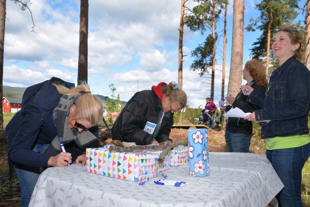 Opplevelsesdagen2015 (11)